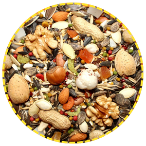 Large Parrot Bird Mix Seeds